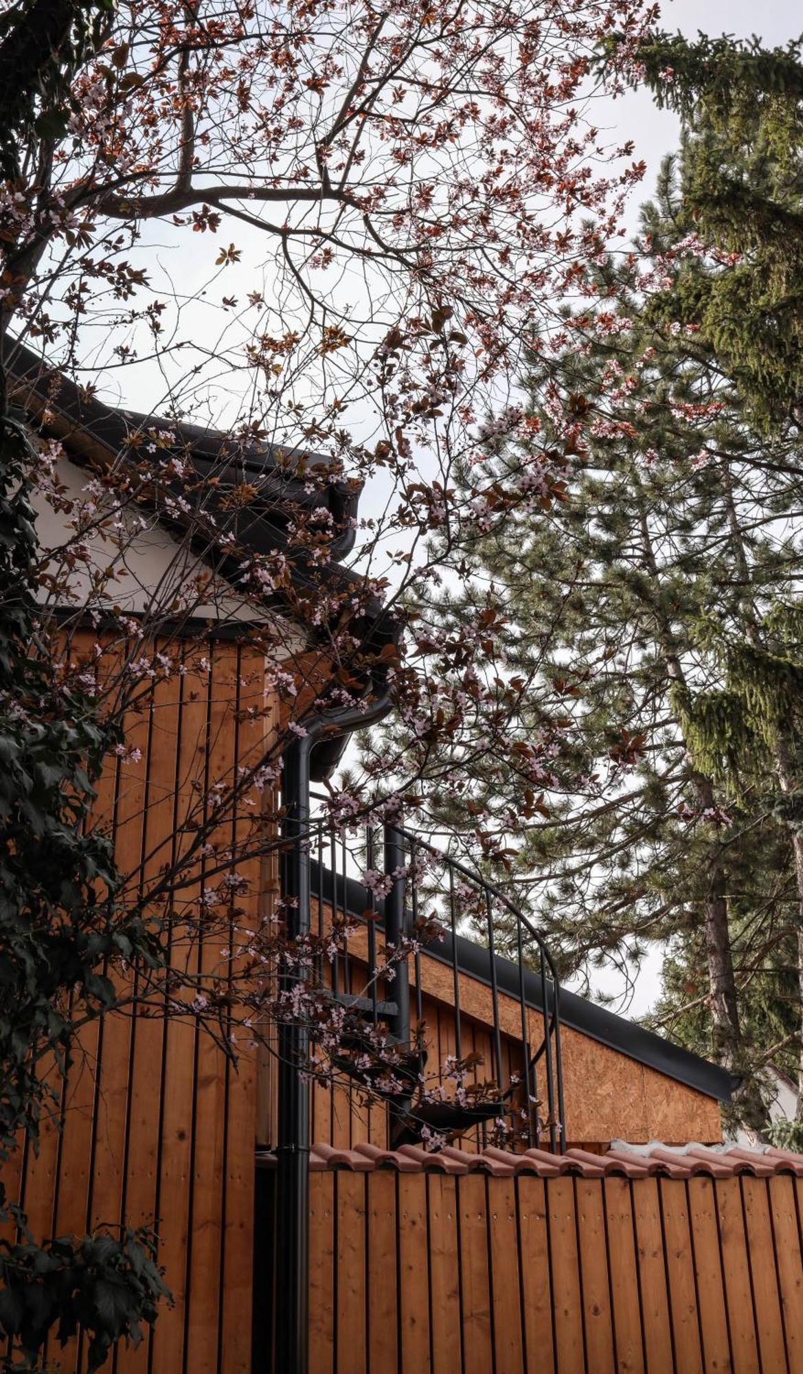 Golden Golem Hotel & Spa Прага Екстер'єр фото